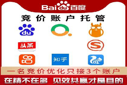 SEM托管服务助力企业突破：成功案例解读